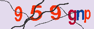 Codigo Captcha