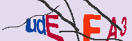 Codigo Captcha
