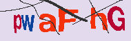 Codigo Captcha